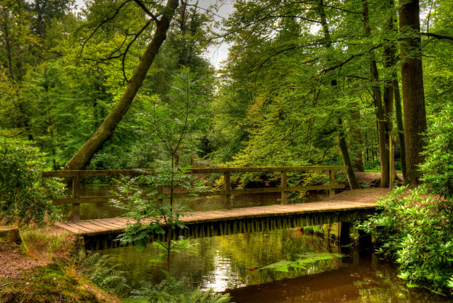 Обои картинки фото ambt delden нидерланды, природа, лес, кусты, деревья, мостик, река, нидерланды