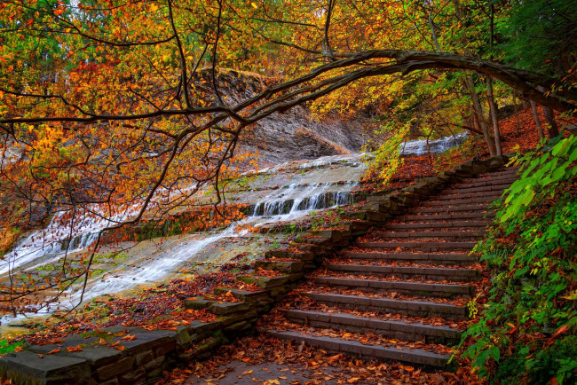 Обои картинки фото природа, парк, trees, forest, water, steps, park, листья, walk, colors, fall, autumn, шаги, горы, лес, leaves, colorful, деревья, осень, nature, вода, дорога