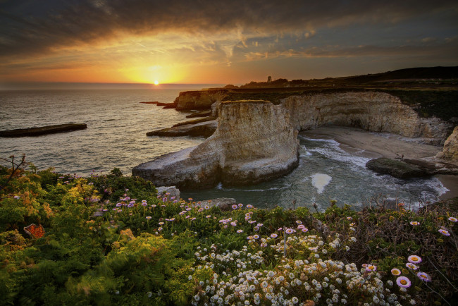 Обои картинки фото природа, восходы, закаты, сша, калифорния, цветы, скалы, океан