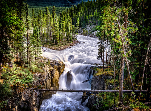Обои картинки фото природа, водопады, водопад, река, лес