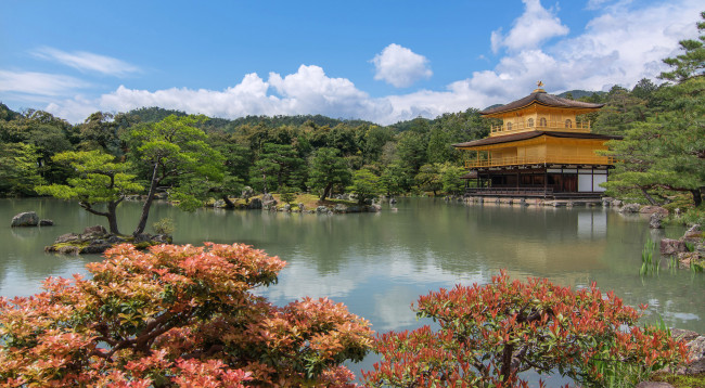 Обои картинки фото golden temple, города, - буддийские и другие храмы, пагода, пруд, парк