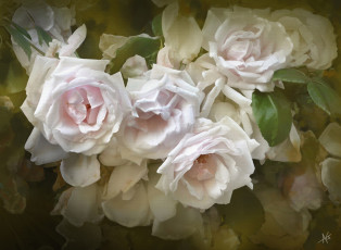 Картинка рисованное цветы лепестки текстура розы