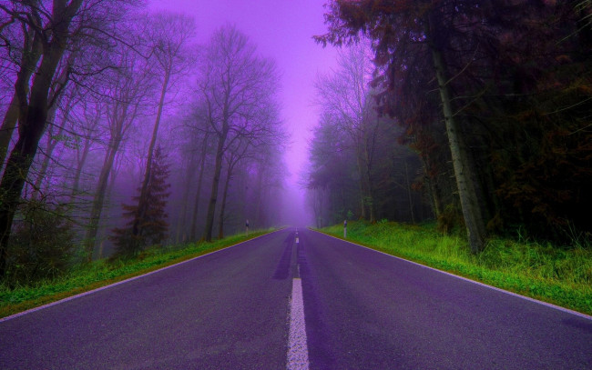 Обои картинки фото природа, дороги, лес, туман, деревья, шоссе, дорога