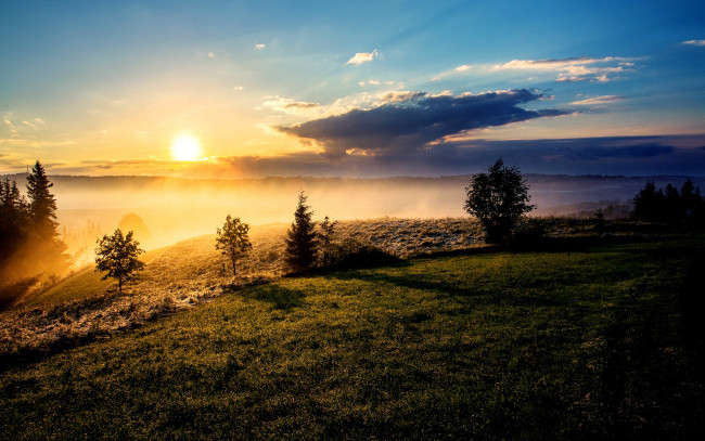 Обои картинки фото природа, восходы, закаты, солнце, туман, склон, утро, облака, деревья