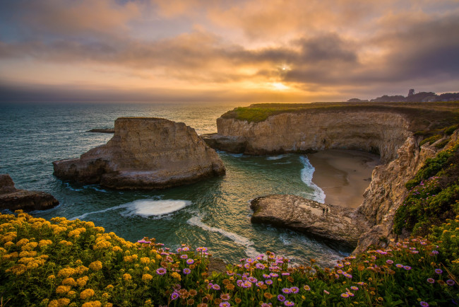 Обои картинки фото природа, побережье, бухта, закат, цветы, скалы