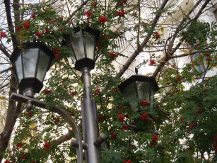 Картинка фонарь города -+другое город городское+освещение светильник город+зимой зимний+город