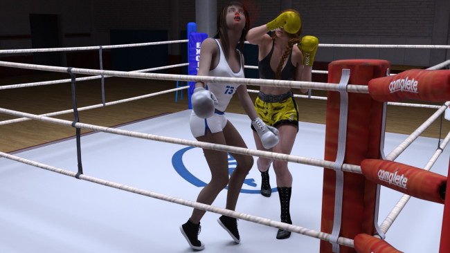 Обои картинки фото 3д графика, спорт , sport, девушки, взгляд, фон, ринг, бокс