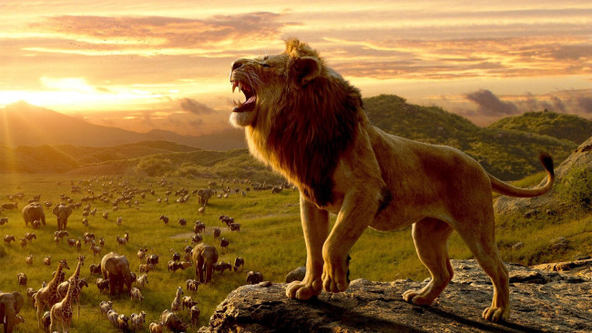 Обои картинки фото кино фильмы, the lion king , 2019, лев