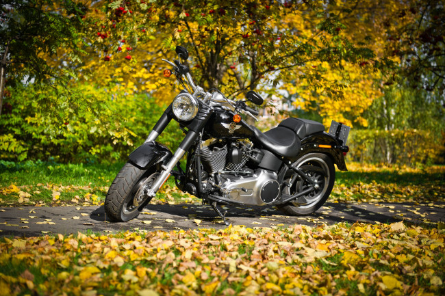 Обои картинки фото harley, davidson, мотоциклы, осень