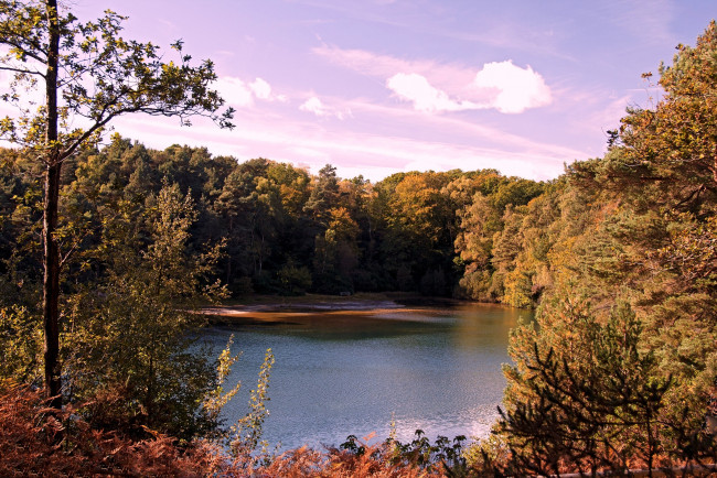 Обои картинки фото природа, реки, озера, вода, осень, деревья