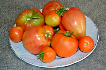 обоя еда, помидоры, блюдо, томат, томаты