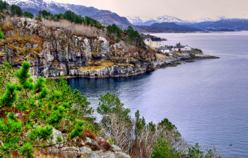 Картинка природа побережье бухта море растительность горы
