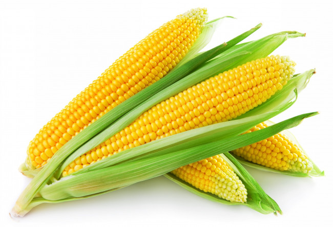 Обои картинки фото еда, кукуруза, початки, зерна, листья