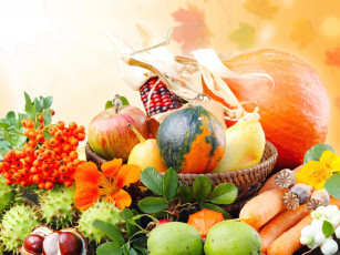 Картинка еда овощи рябина морковь каштаны тыква яблоки осень