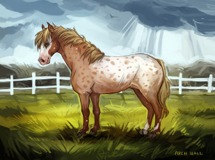 обоя рисованные, животные,  лошади, забор, лошадь