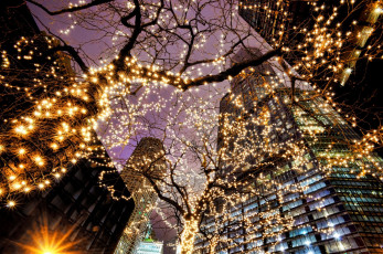Картинка города -+здания +дома свет огни гирлянды деревья вечер город сша иллинойс Чикаго illinois chicago подсветка освещение здания небоскребы