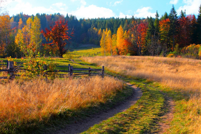 Обои картинки фото природа, дороги, дорога, небо, трава, горы, лес, деревья, осень, листья