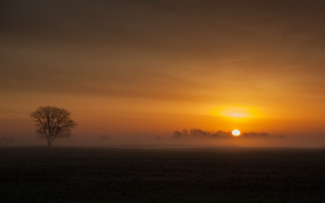 Картинка природа восходы закаты дерево поле туман солнце финляндия