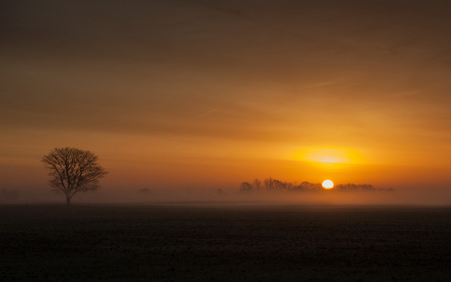 Обои картинки фото природа, восходы, закаты, дерево, поле, туман, солнце, финляндия