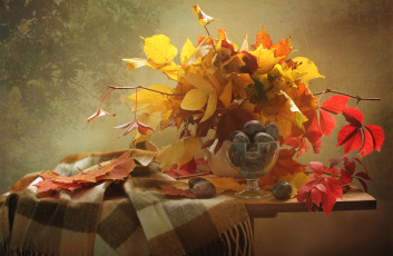 Картинка еда натюрморт осень желтый сливы листья