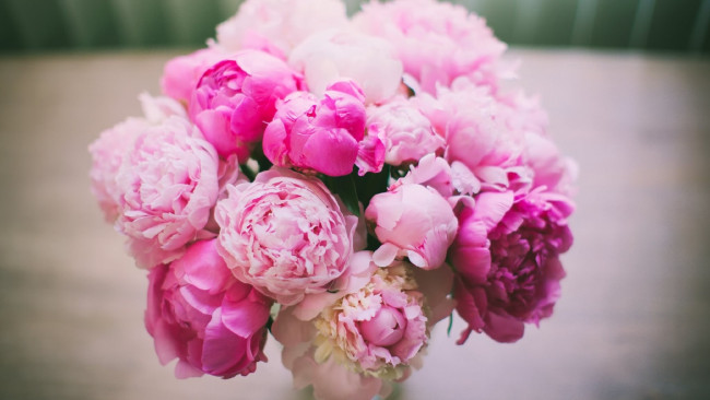 Обои картинки фото цветы, пионы, букет, розовые