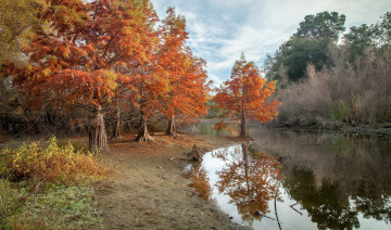 Картинка природа реки озера осень озеро отражение