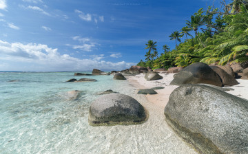 Картинка природа тропики море пальмы пляж побережье