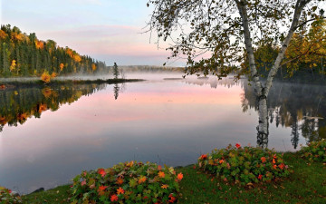 Картинка природа реки озера туман осень озеро береза