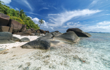 Картинка природа тропики море пляж пальмы побережье