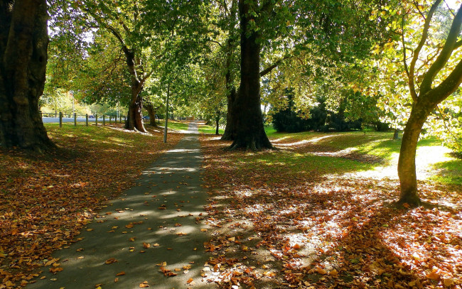 Обои картинки фото природа, парк, листопад, осень, деревья, аллея