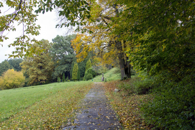 Обои картинки фото природа, парк, осень, листопад, деревья, аллея