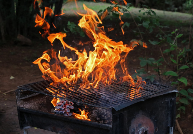 Обои картинки фото природа, огонь, гриль, пламя