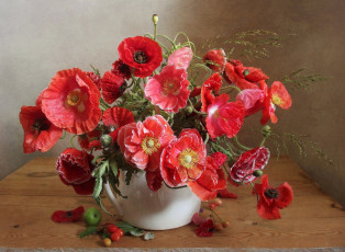 Картинка цветы маки ваза букет