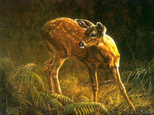 Картинка рисованные животные олени