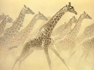 обоя рисованные, животные, жирафы