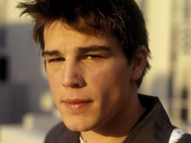 Обои картинки фото josh, hartnett, мужчины