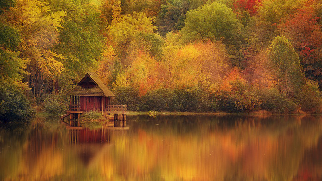 Обои картинки фото природа, реки, озера, озеро, осень, деревья
