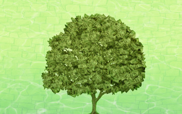Картинка денежное дерево разное золото купюры монеты зеленый деньги доллары