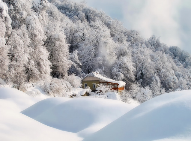 Обои картинки фото природа, зима, домик, деревья, снег