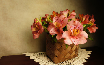 Картинка цветы альстромерия корзинка капли