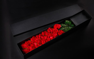 Картинка цветы розы алый коробка подарок