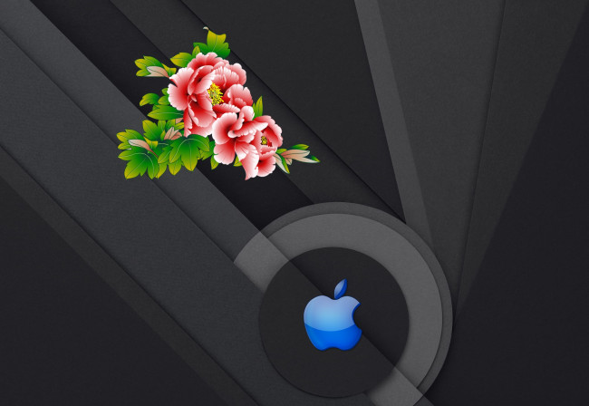 Обои картинки фото компьютеры, apple, фон, логотип