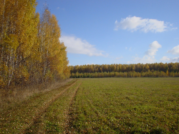 Обои картинки фото 