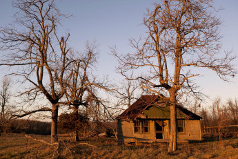 Картинка разное развалины руины металлолом дом деревья осень