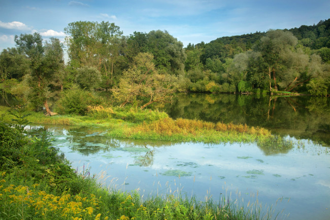 Обои картинки фото природа, реки, озера, германия, бавария, нидерайхбах, река, лес, побережье