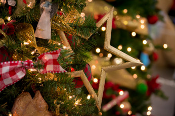 Картинка праздничные -+разное+ новый+год праздник новый год рождество елка украшения снег чудеса