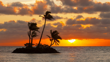 Картинка природа восходы закаты пальмы остров солнце закат море тучи небо