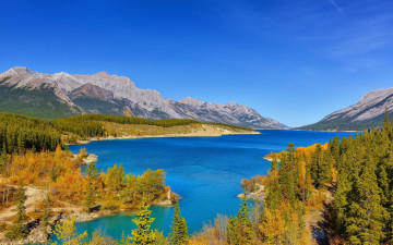Картинка природа реки озера abraham lake alberta canada canadian rockies озеро эйбрахам альберта канада канадские скалистые горы лес
