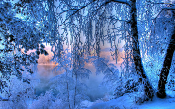 Картинка природа зима иней мороз озеро лес утро снег