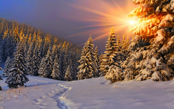 Картинка природа зима снег небо пейзаж nature winter sky white beautiful forest path road cool nice snow sunset